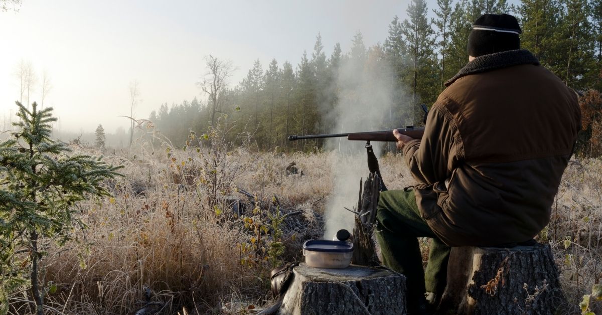 Hunting in Sweden