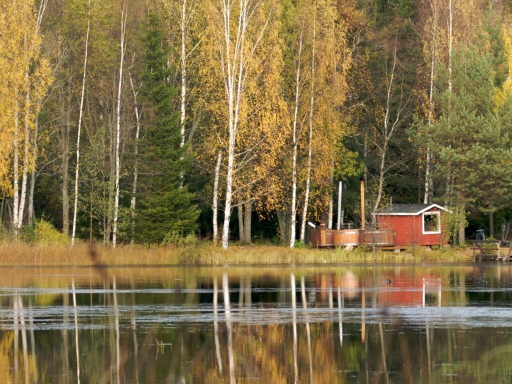 Swedish Saunas And Nudity In Sweden All You Need To Know