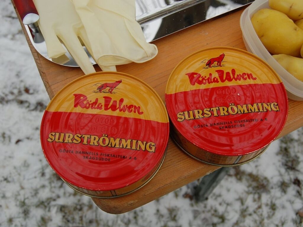 Surströmming Hareng Fermenté Suédois